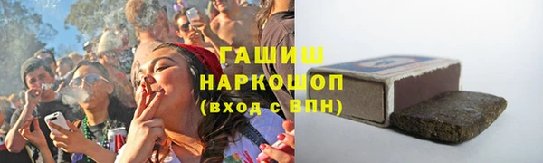 индика Богородицк